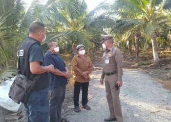 ชาวสวนนครปฐมสุดระทม-ถูกโจรแสบย่องลักตัดมะพร้าว-หายหมดสวน-1.5-หมื่นลูก-–-ไทยรัฐ